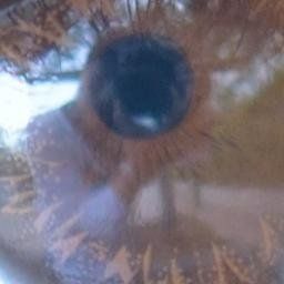 ま～さん写真館