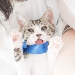 虹色七変化