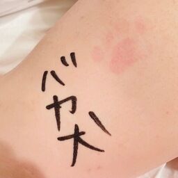 あいさのゆるゆるふぁんてぃあ