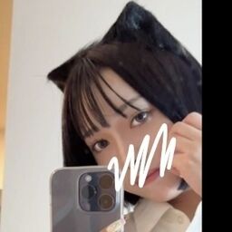 吾輩はねこである