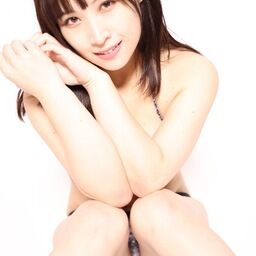 なんちゃんのファンクラブ