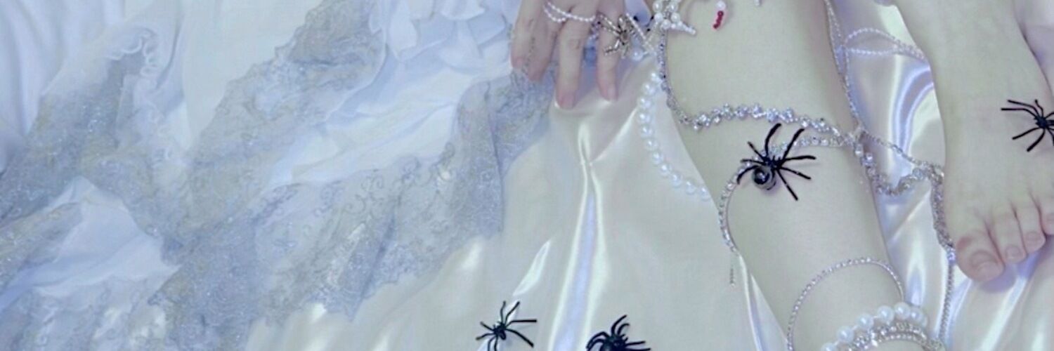 ✧蜘蛛姫✧🕷️めめ🕷️の蜘蛛の子♥️🕷️⟡.·