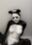 全身ペイント🐼(サンプル画像)
