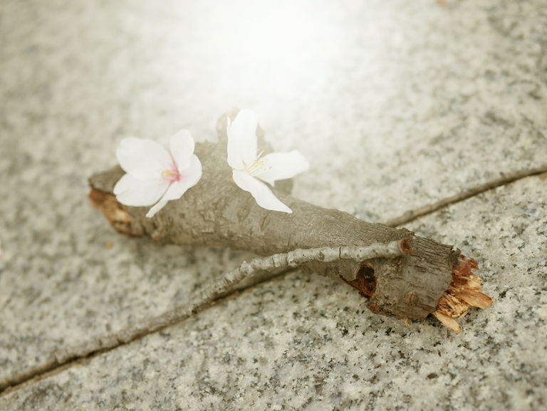こんばんは☽︎︎.*·̩͙