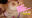 【マイクロビキニマニアックス06】いおチャン（21歳）Gカップ