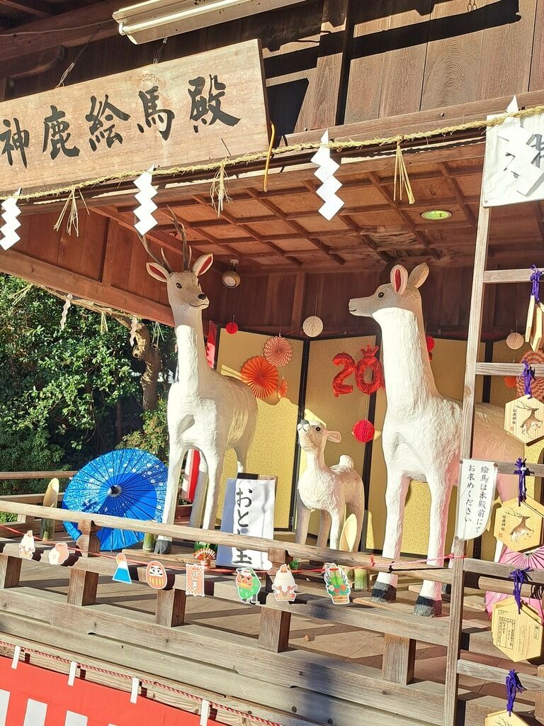 ちゃんと再開するね!