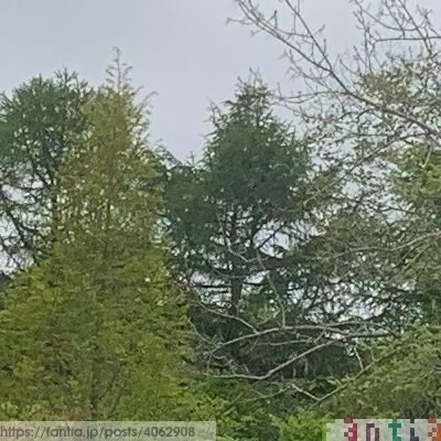 昨日の夜は頭痛で召されましたとさ