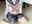 しゃしんまとめ（50枚くらいある）