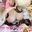 【🔞自撮り22枚】森のえっちなくまちゃん🧸 だんだん脱いでいくパラパラ写真集♡*。+