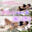 ＜㊙️隠し撮り＞プライベートでの”素のオナニー”公開しちゃいます💕