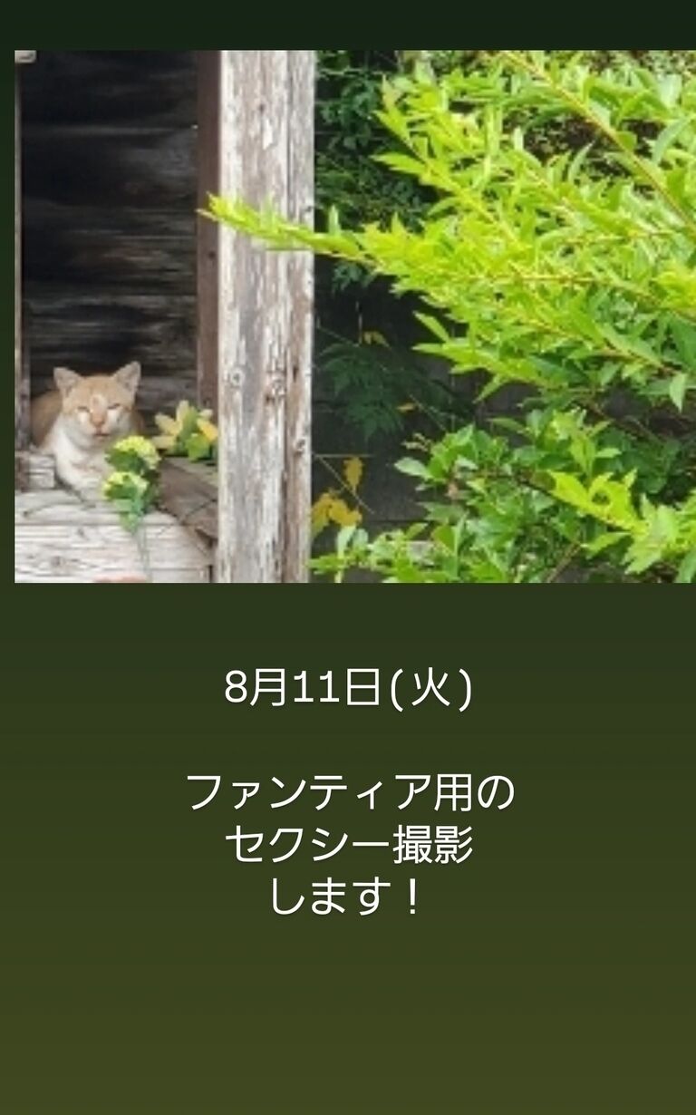 火曜日撮影がんばるどん!