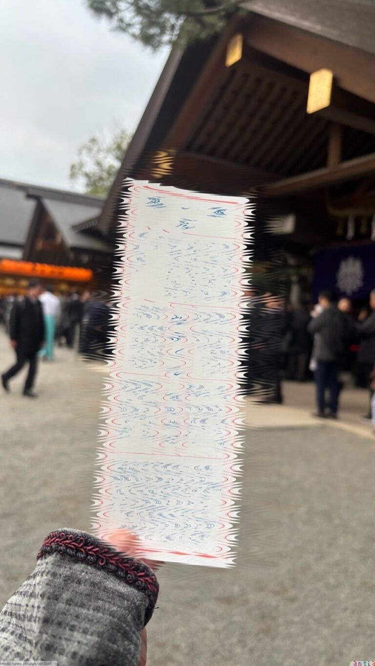 人生初の初詣に行ってきました🎋.*・゚