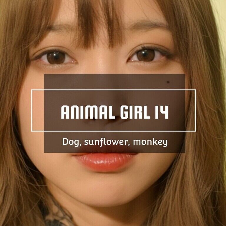アニマルgirl⑭ 4K_Edition