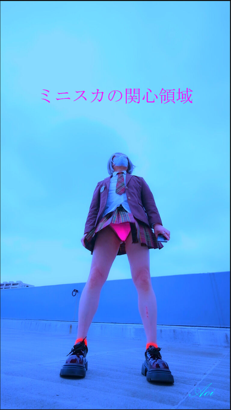 ミニスカの関心領域